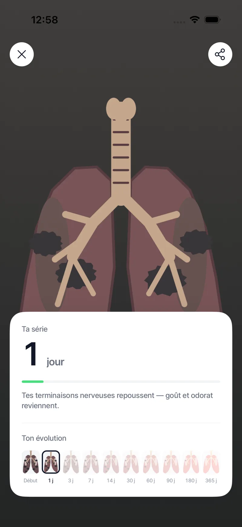 Écran de récupération d'Ash : illustration des poumons, série en cours et frise d'évolution du 1er jour à 365 jours.